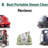 best portable steam cleaner reviews